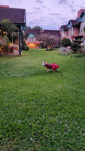 Sossego e aconchego perto de tudo